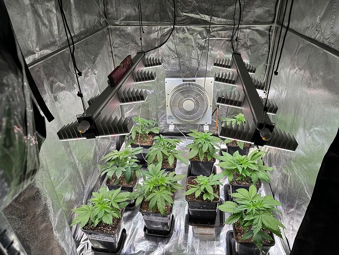 Growreport Bild 54