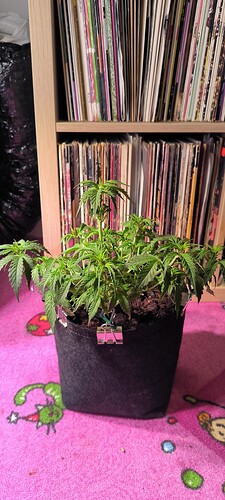 Growreport Bild 30