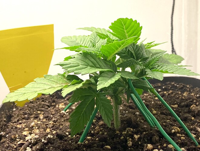 Growreport Bild 11