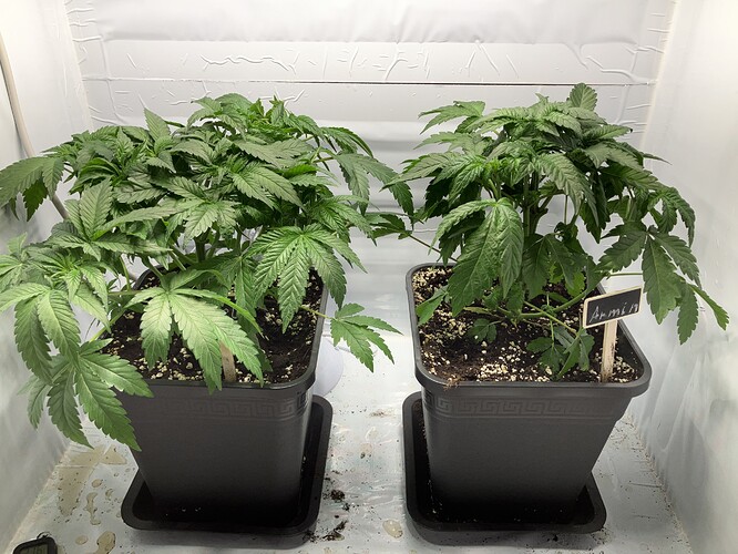Growreport Bild 2