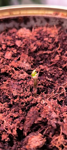 Growreport Bild 2