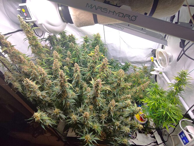 Growreport Bild 26