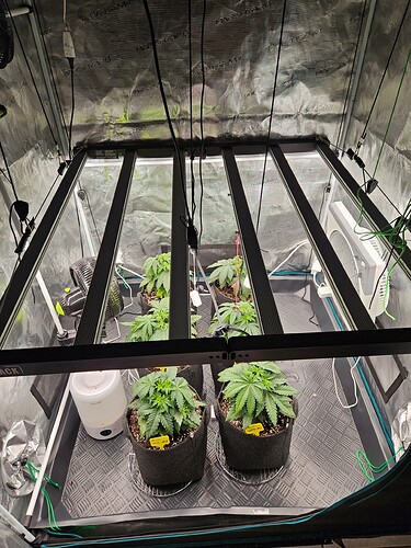 Growreport Bild 15
