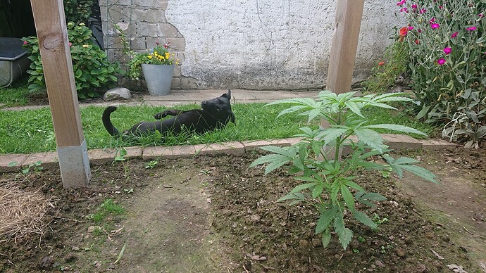 Growreport Bild 16