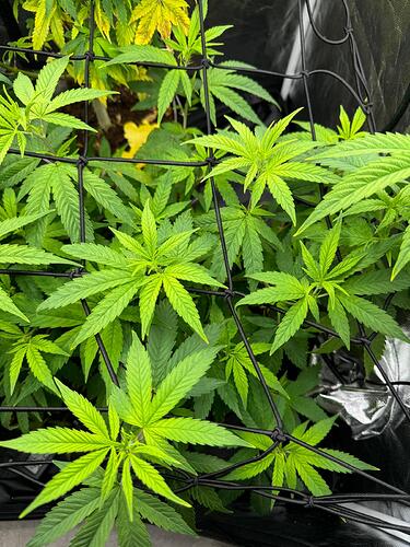 WhatsApp Image 2024-07-31 at 13.51.57