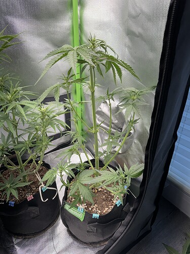 Growreport Bild 8