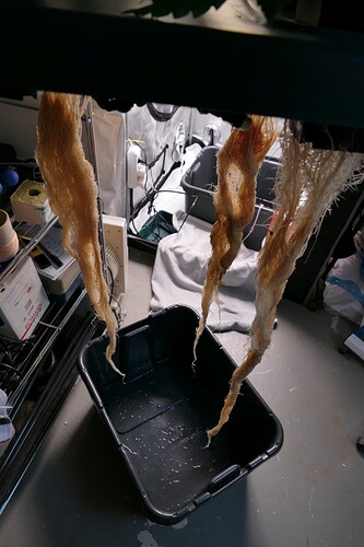 Growreport Bild 8