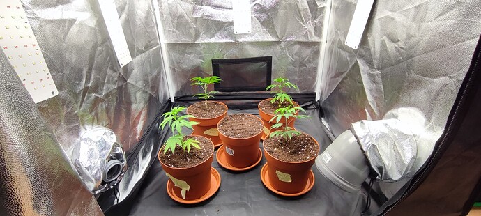 Growreport Bild 9