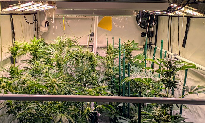Growreport Bild 4