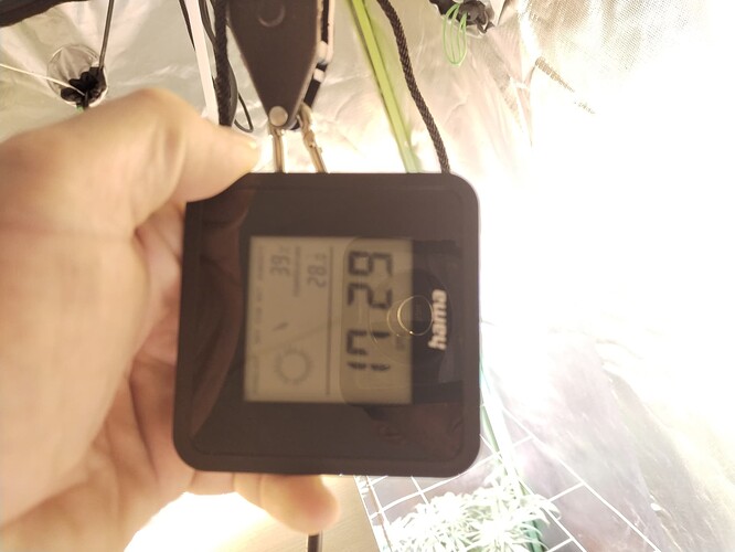 Growreport Bild 8