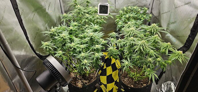 Growreport Bild 14