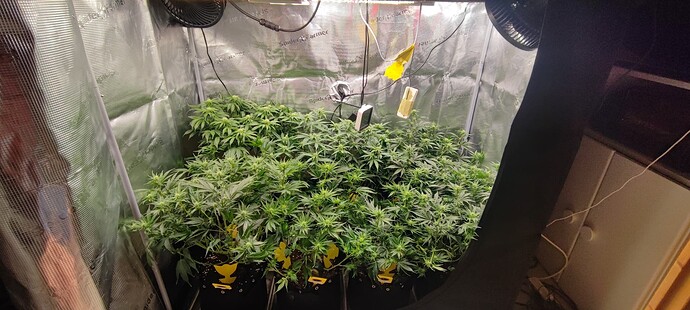 Growreport Bild 21
