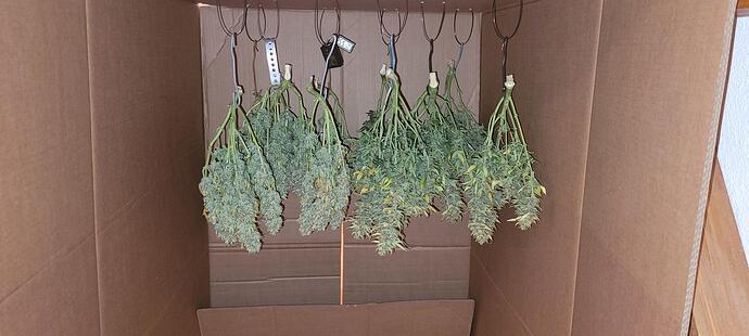 signal-2024-04-16-19-03-22-779-1