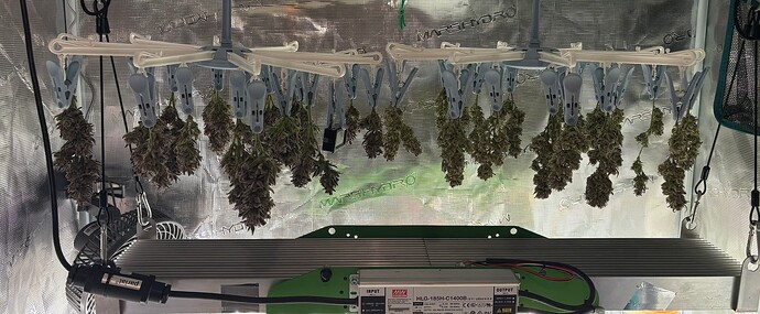 Growreport Bild 6