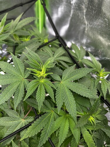 Growreport Bild 12