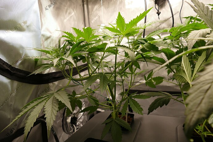 Growreport Bild 2
