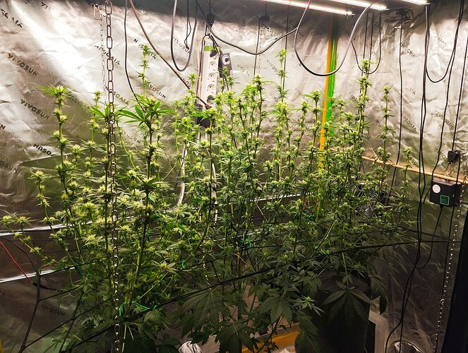 Growreport Bild 14