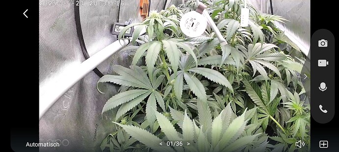 Growreport Bild 4