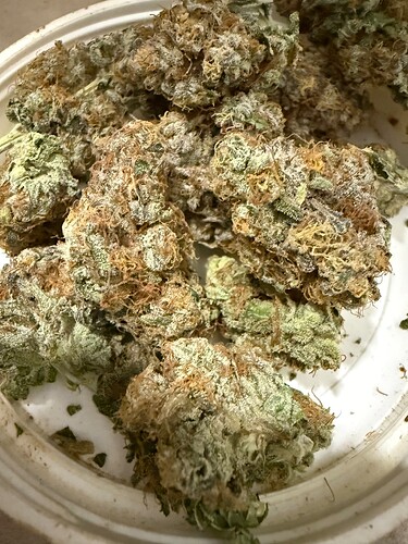 Growreport Bild 9