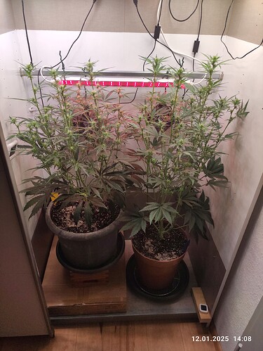 Growreport Bild 22