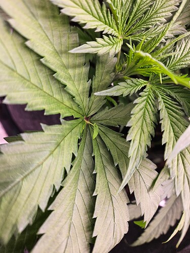 Growreport Bild 6
