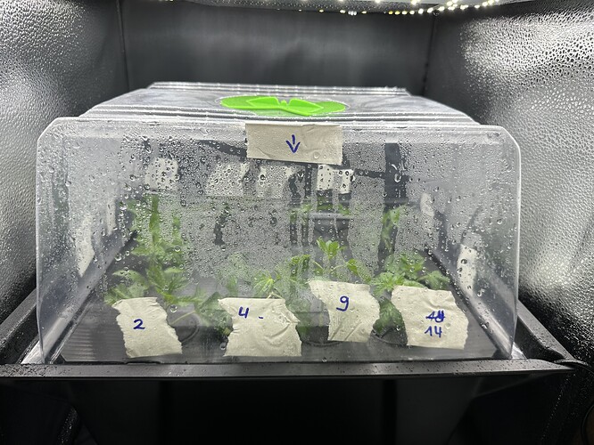 Growreport Bild 15