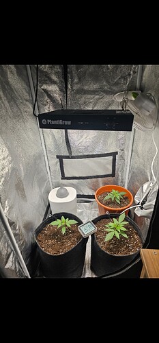 Growreport Bild 5
