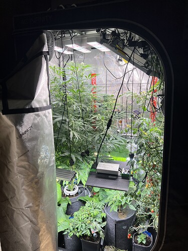 Growreport Bild 12