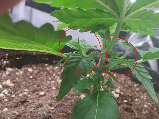 Growreport Bild 11
