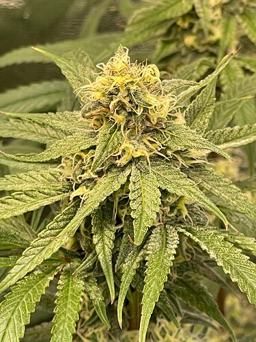 Growreport Bild 23