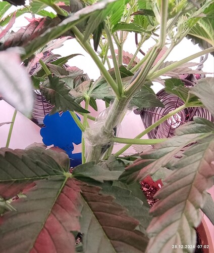 Growreport Bild 14