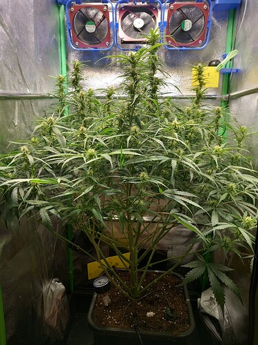 Growreport Bild 11