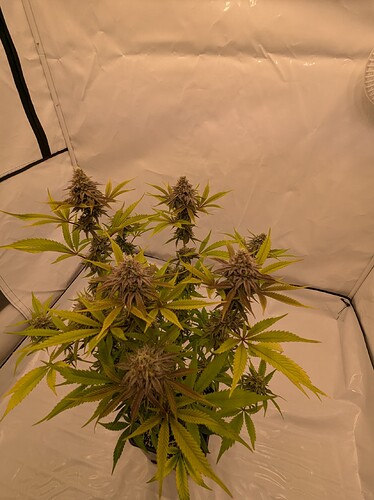 PXL_20240706_160221014