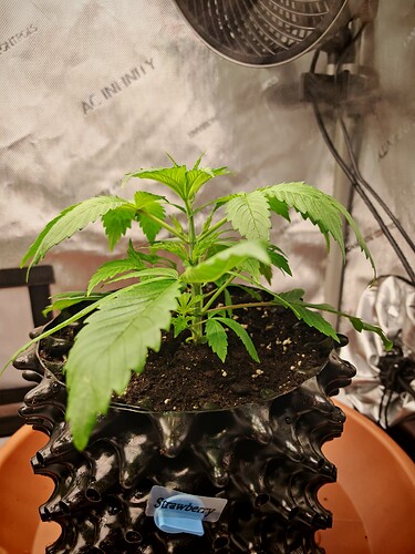 Growreport Bild 16