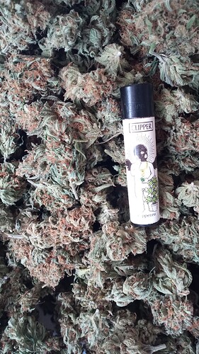 Growreport Bild 12