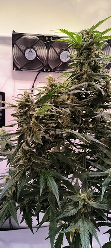 Growreport Bild 10