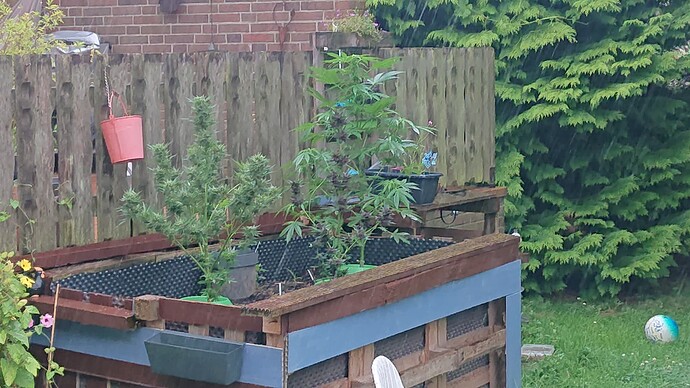 Growreport Bild 25
