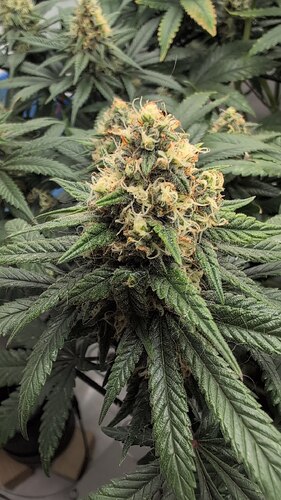 photo_2025-08-14_23-31-09