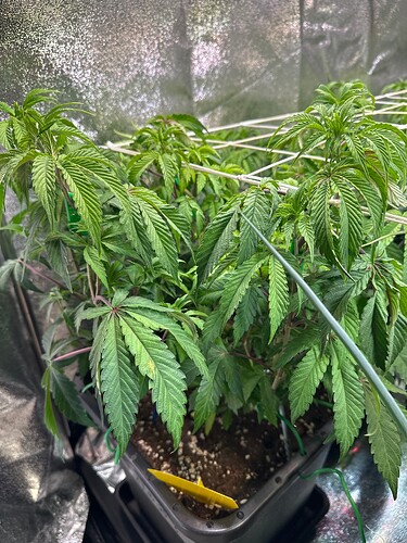 Growreport Bild 23