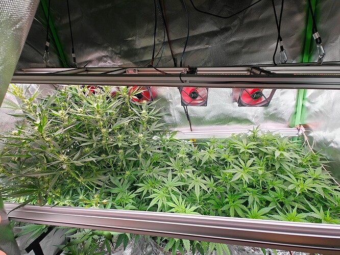 Growreport Bild 27