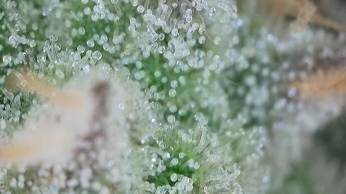 Growreport Bild 17