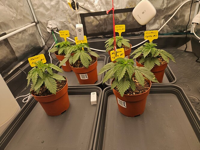 Growreport Bild 50
