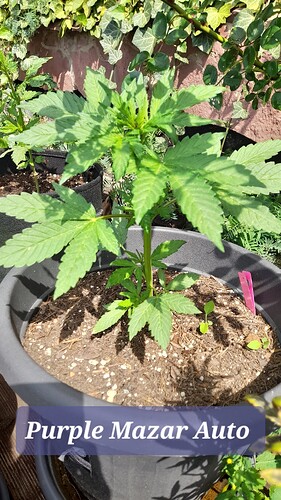 Growreport Bild 8