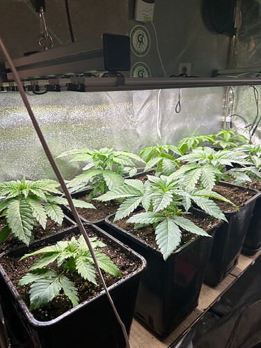 Growreport Bild 18