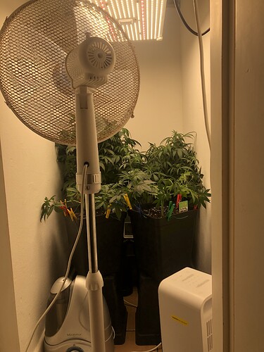 Growreport Bild 19