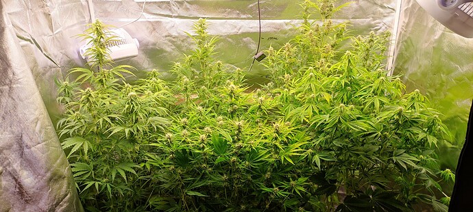 Growreport Bild 15