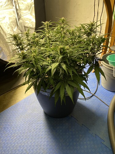 Growreport Bild 18