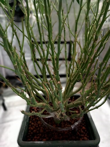 Growreport Bild 23
