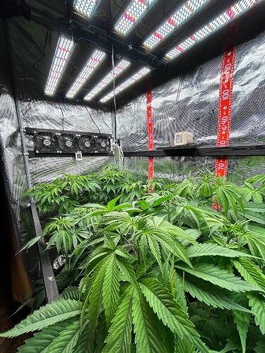 Growreport Bild 3
