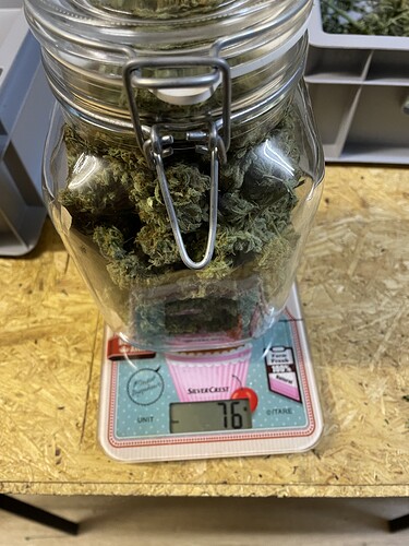 Growreport Bild 5